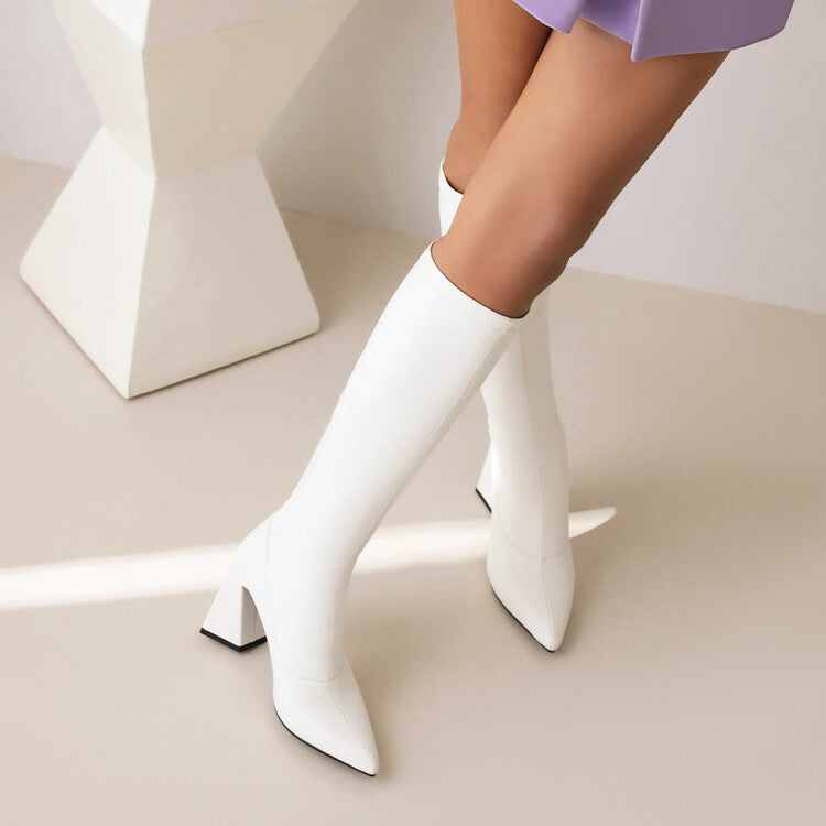 Women's Pointed Toe Block Heel Knee High Boots