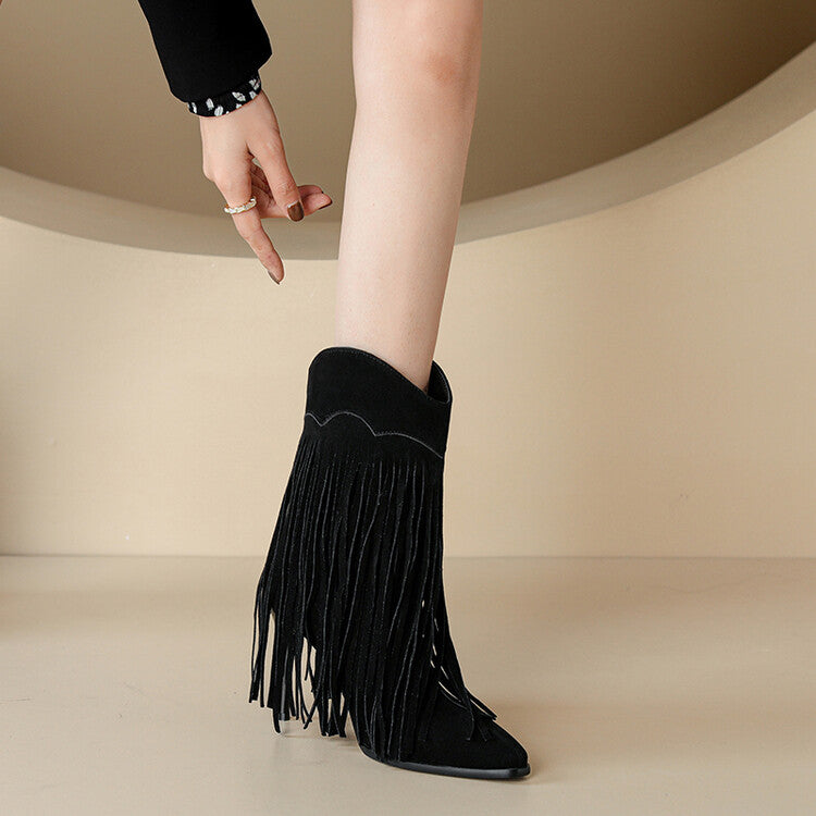Women's Pointed Toe Tassel Stiletto Heel Mid-Calf Boots