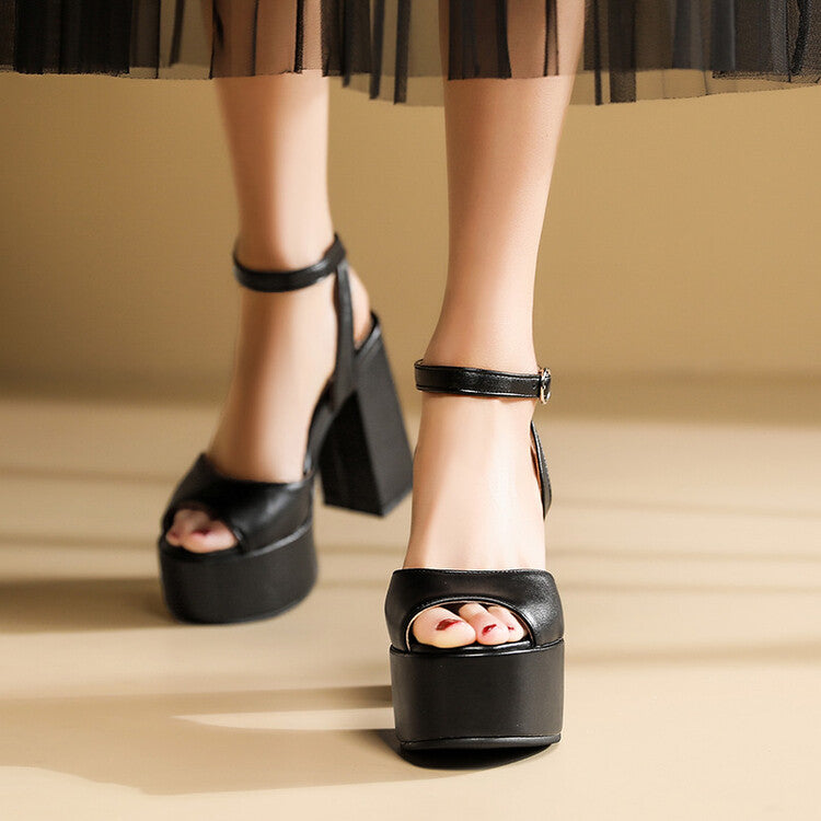 Women's High Heeled Peep Toe Ankle Strap Platform Chunky Heel Sandals