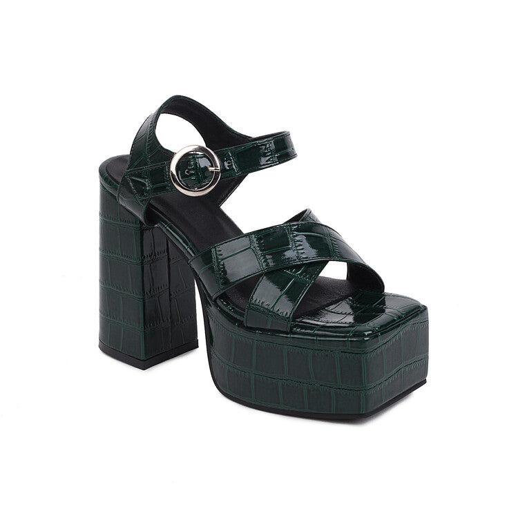 Women's Ankle Strap Buckle Thick Sole Block Heel Platform Sandals