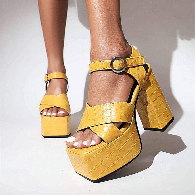 Women's Ankle Strap Buckle Thick Sole Block Heel Platform Sandals