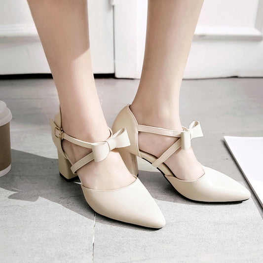 Pointed Toe Ankle Strap Chunky High Heels Sandals Pumps Women Shoes 9247