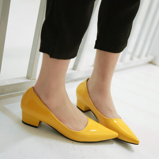 Pointed Toe Women Mid Heels Jelly Shoes 2185