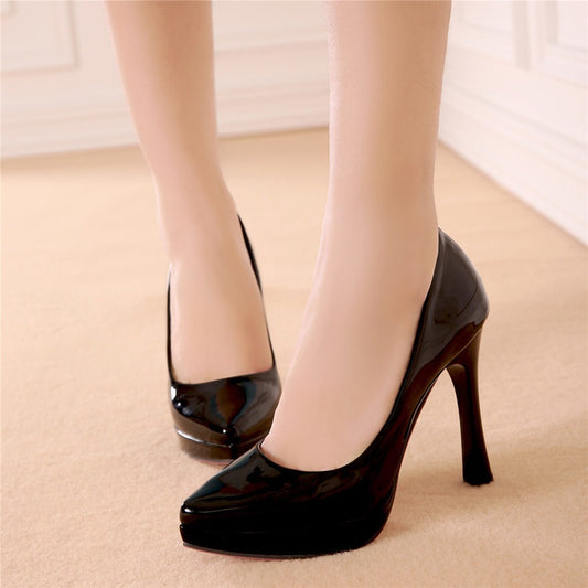 Women's Pointed Toe High Heels Pumps
