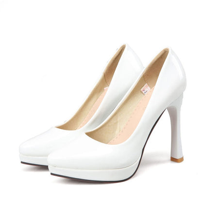 Women's Pointed Toe High Heels Pumps