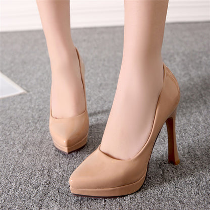 Women's Pointed Toe High Heels Pumps