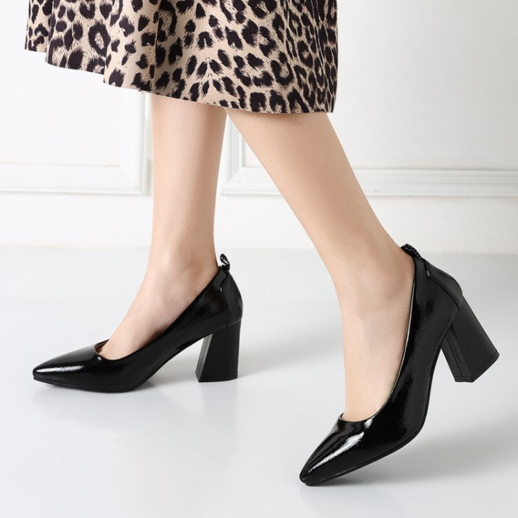Women's Pointed Toe High Heeled Chunky Heels Pumps